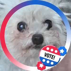 Meet your Posher, Freyda